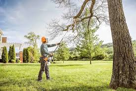 Best Utility Line Clearance  in Sardis City, AL