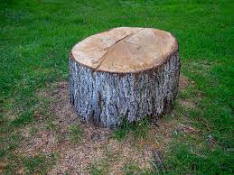 Reliable Sardis City, AL Tree Care Solutions