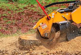 Best Storm Damage Tree Cleanup  in Sardis City, AL